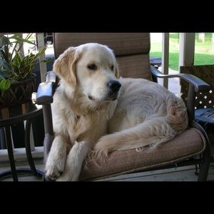 Meet your Posher, Susan